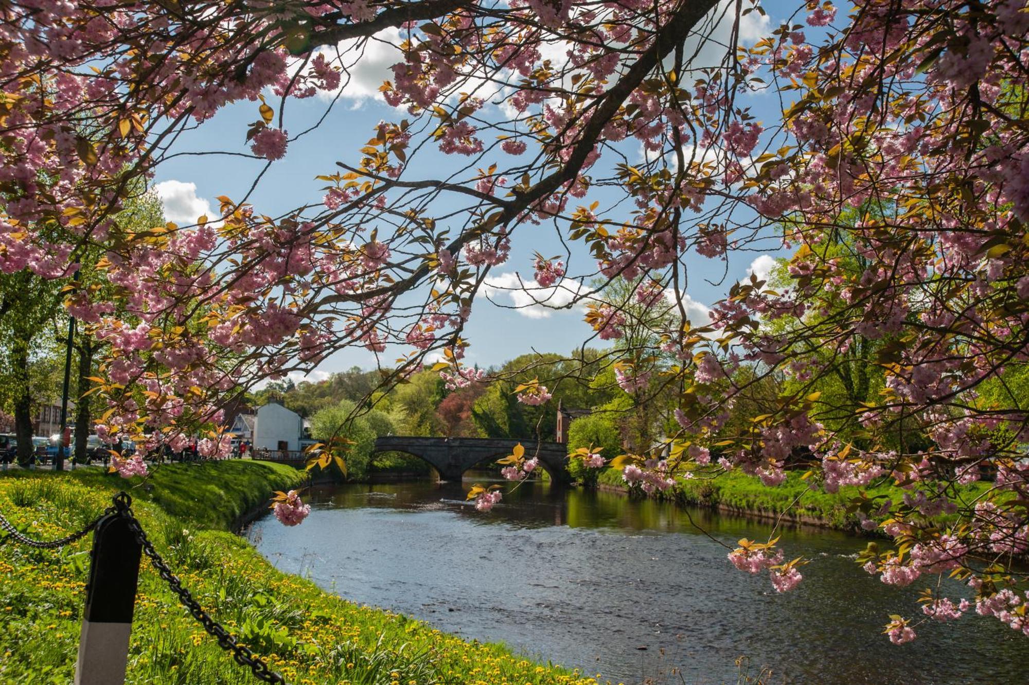 Little Apple Cottage- Free Parking, Hot Tub, Fire, Town Centre Appleby-in-Westmorland 외부 사진